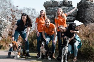 Elaine Ball Ltd Team