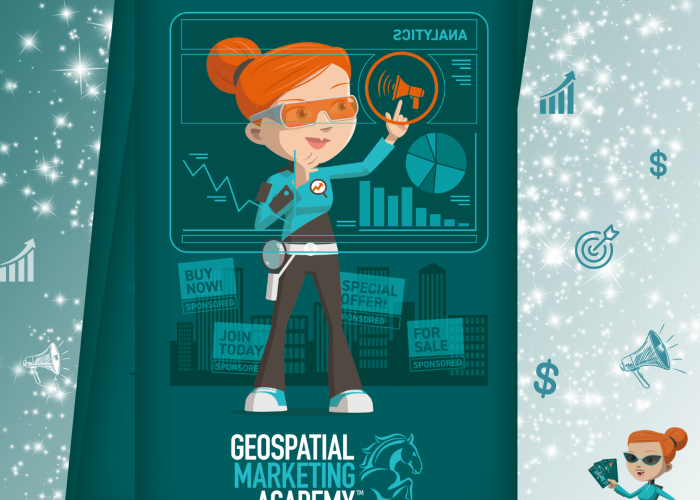 Paid Ad Ace: The Geospatial Sales Accelerator